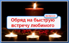 Выращивание лисички на даче Выращивание лисички на даче