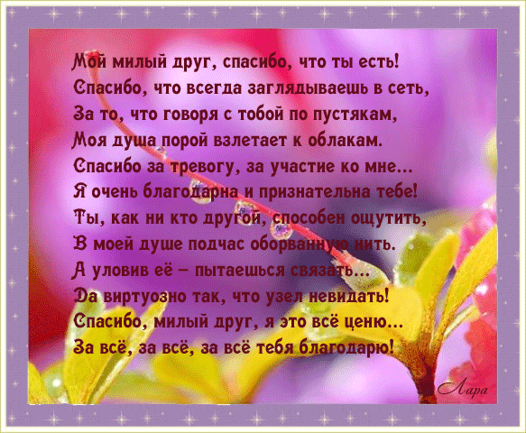 Научиться делать заднее сальто домашних условиях Научиться делать заднее сальто домашних условиях